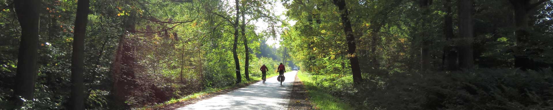 Friesland Beweegt je met fietsroutes door bos en heide