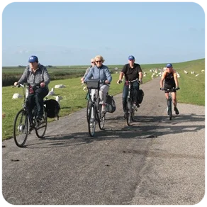 Fietsen in Fryslân met Friesland Beweegt