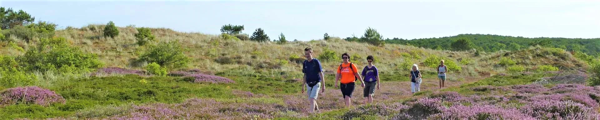 Friesland Beweegt Wandelagenda