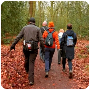 8 November 2025, Kleurenkuier Mûnein (Moleneind) Friesland